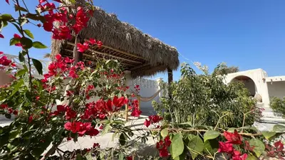 بومگردی چهارخوابه استخردار بارح