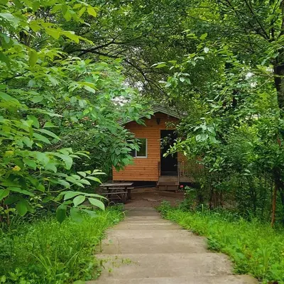 کلبه یک خوابه جنگلی هاوش 3