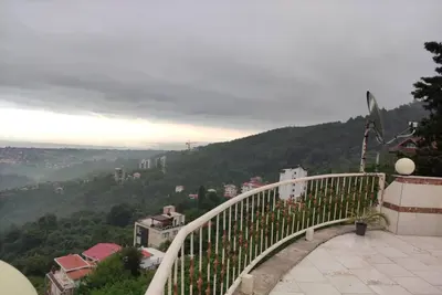 آپارتمان یک خوابه جنگلی چشم انداز ۵