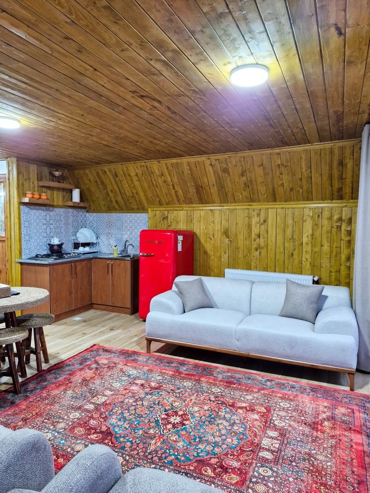 کلبه فلت سوئیسی کوهستان ۱ - آشپزخانه و پذیرایی کلبه