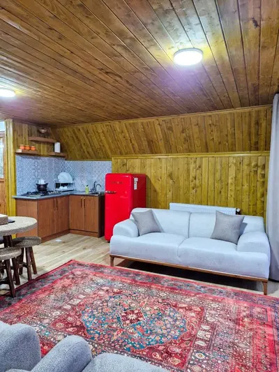 کلبه فلت سوئیسی کوهستان ۱