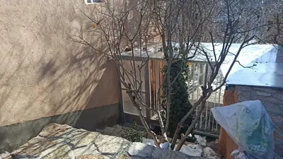 سوئیت فلت کوی چلچراغ