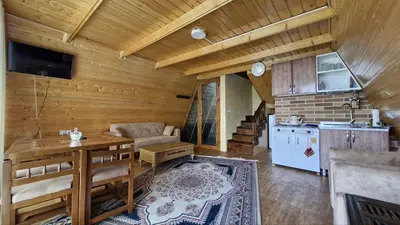 کلبه یک خوابه سوئیسی عمو عزیز