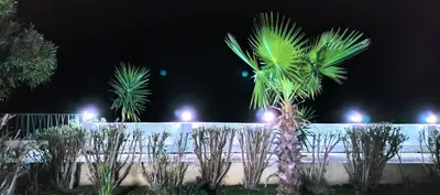 آپارتمان یک خوابه تابان - واحد ۱