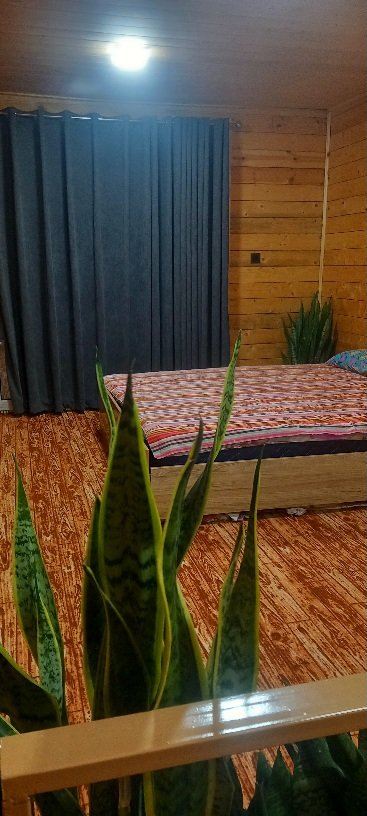 کلبه یک خوابه دوبلکس نظری