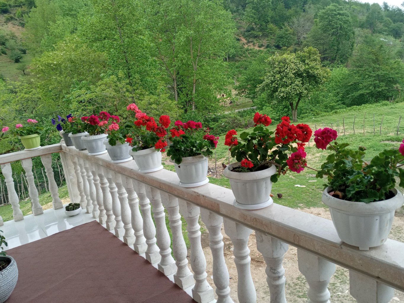 ویلا دوخوابه جنگلی گنجه