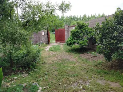 سوئیت یک خوابه مهدی 7