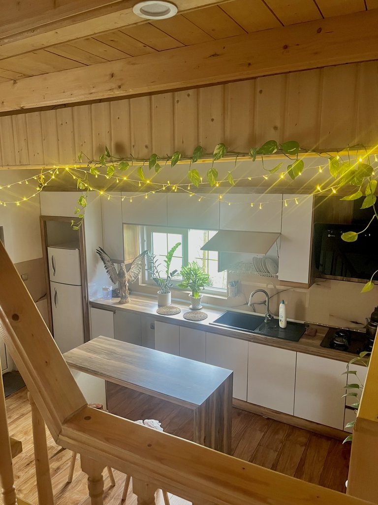 کلبه دوخوابه چوبی سرو