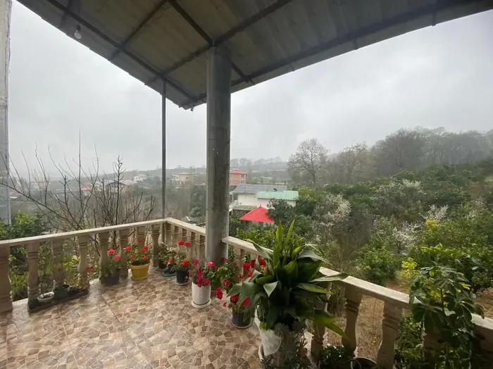 ویلا یک خوابه جنگلی کبریا - نمای تراس