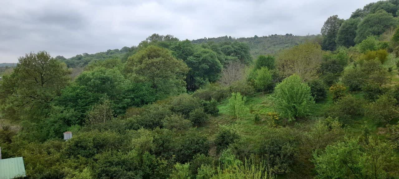 کلبه یک خوابه چوبی باغ لفور