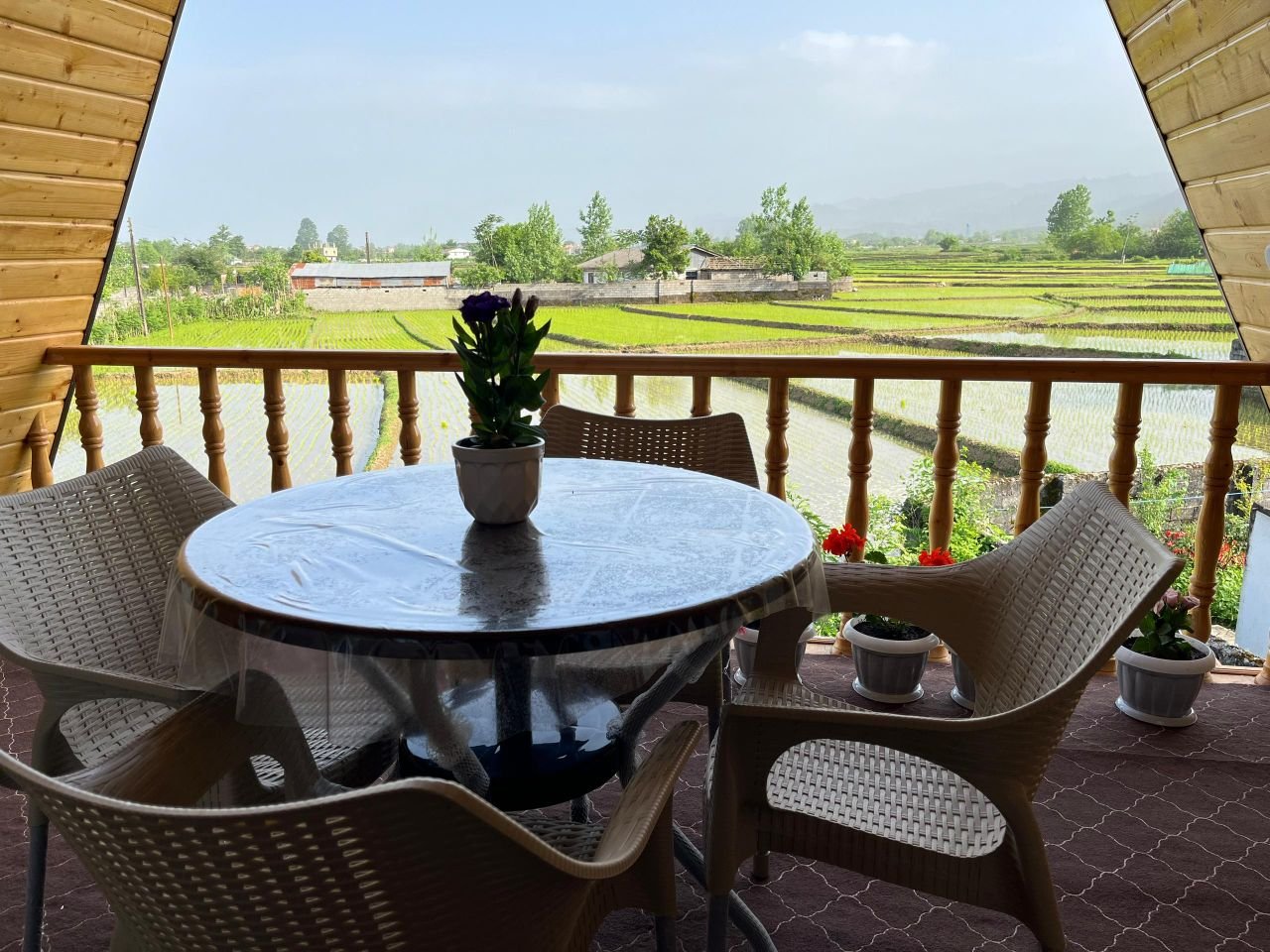 یک خوابه سوئیسی پامچال