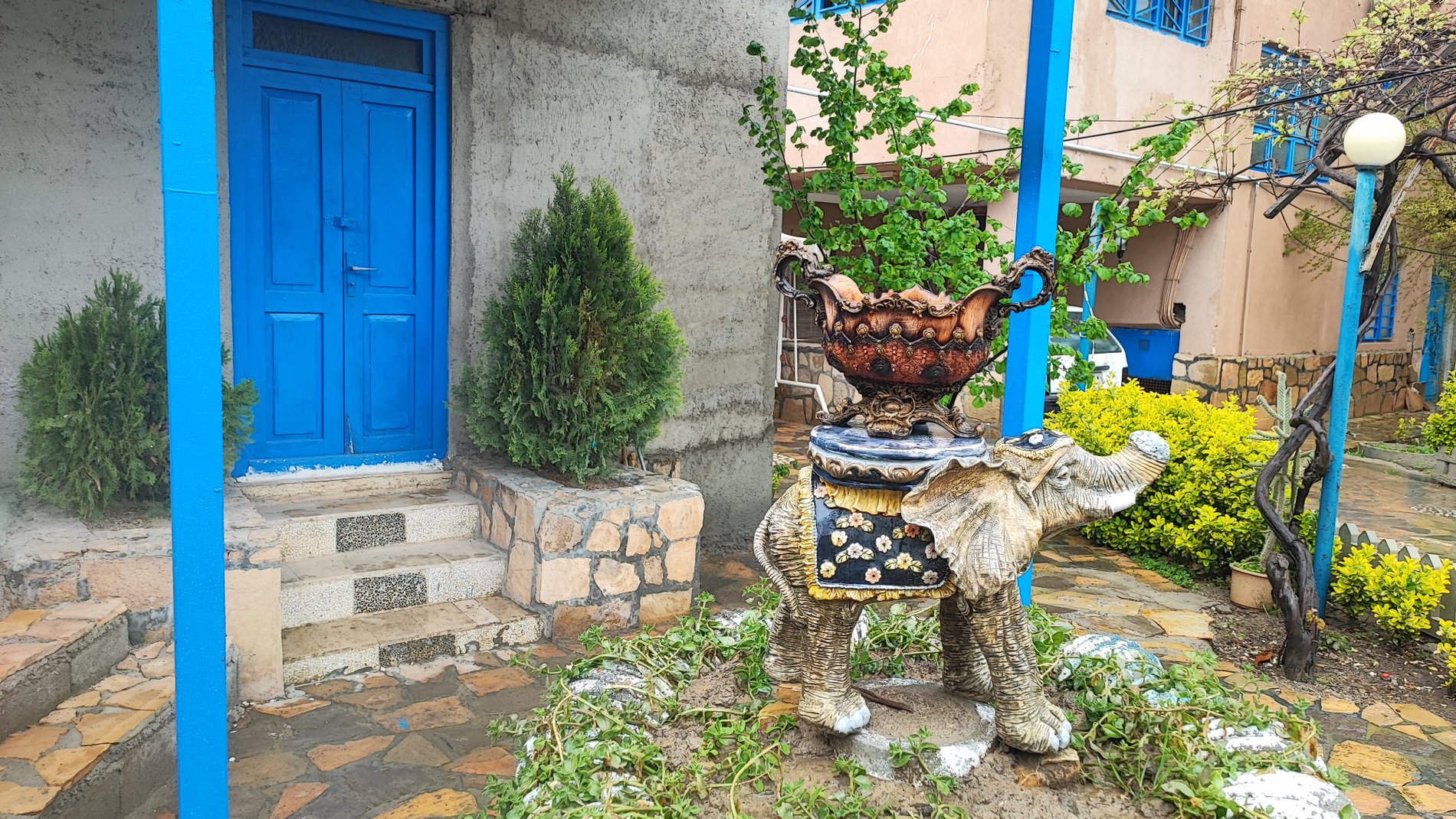 بومگردی شکوفه های انار - اتاق 2