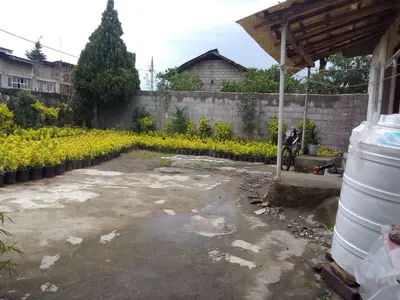 ویلا یک خوابه روستایی الماس 1