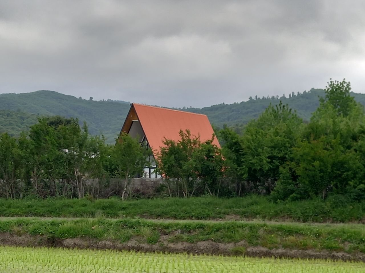 دوخوابه سویسی  ماهان 2