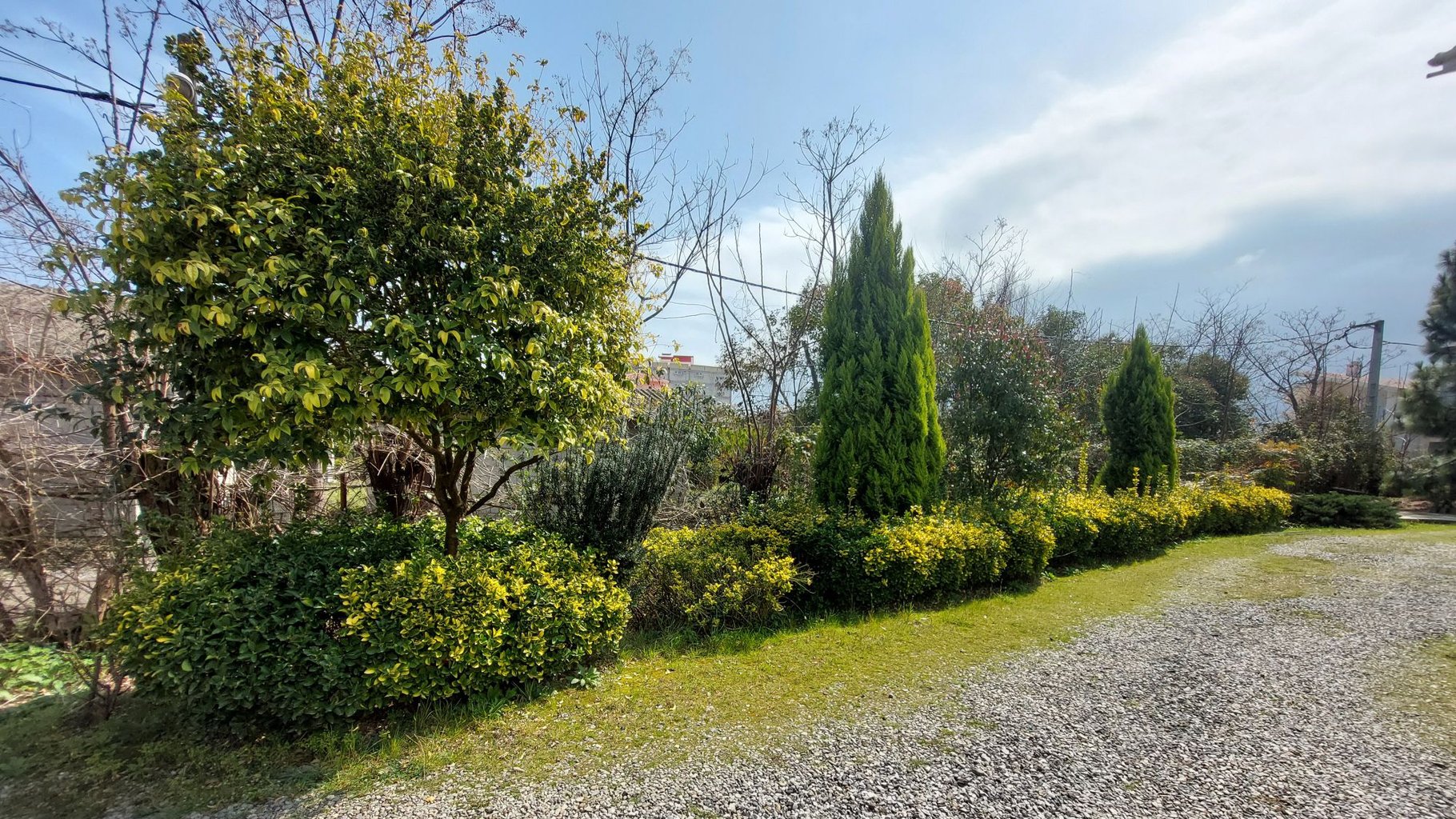 ویلا ویلا باغ کیمیای رامسر