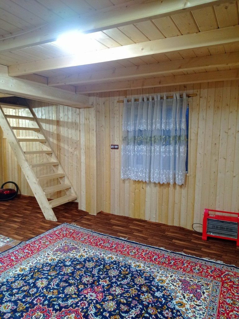 دوخوابه جنگلی شوکا