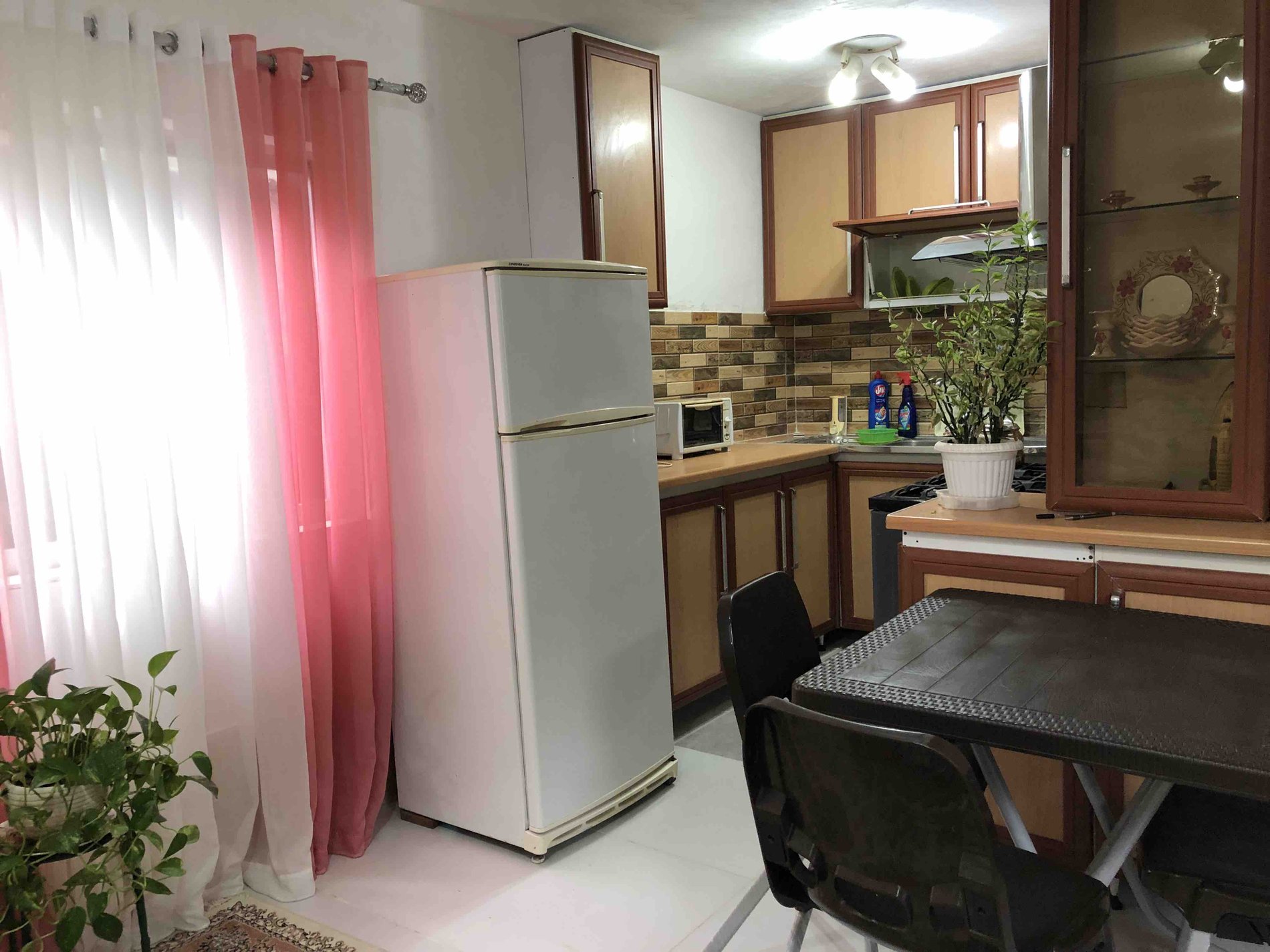 فلت جنگلی یاس