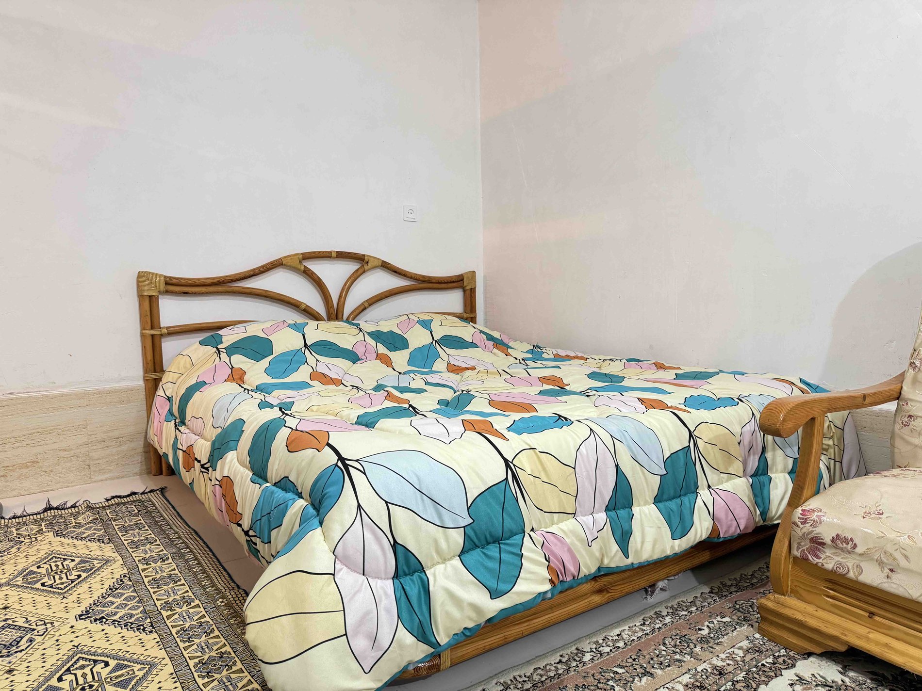 فلت جنگلی یاس