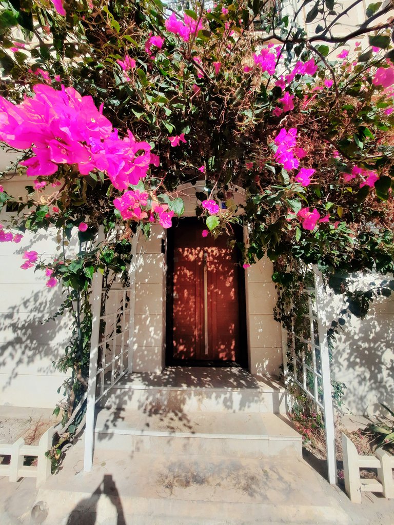 آپارتمان دوخوابه همکف باران ۷