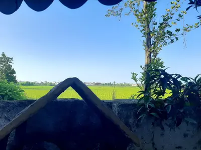 سوئیت یک خوابه قاصدک 15