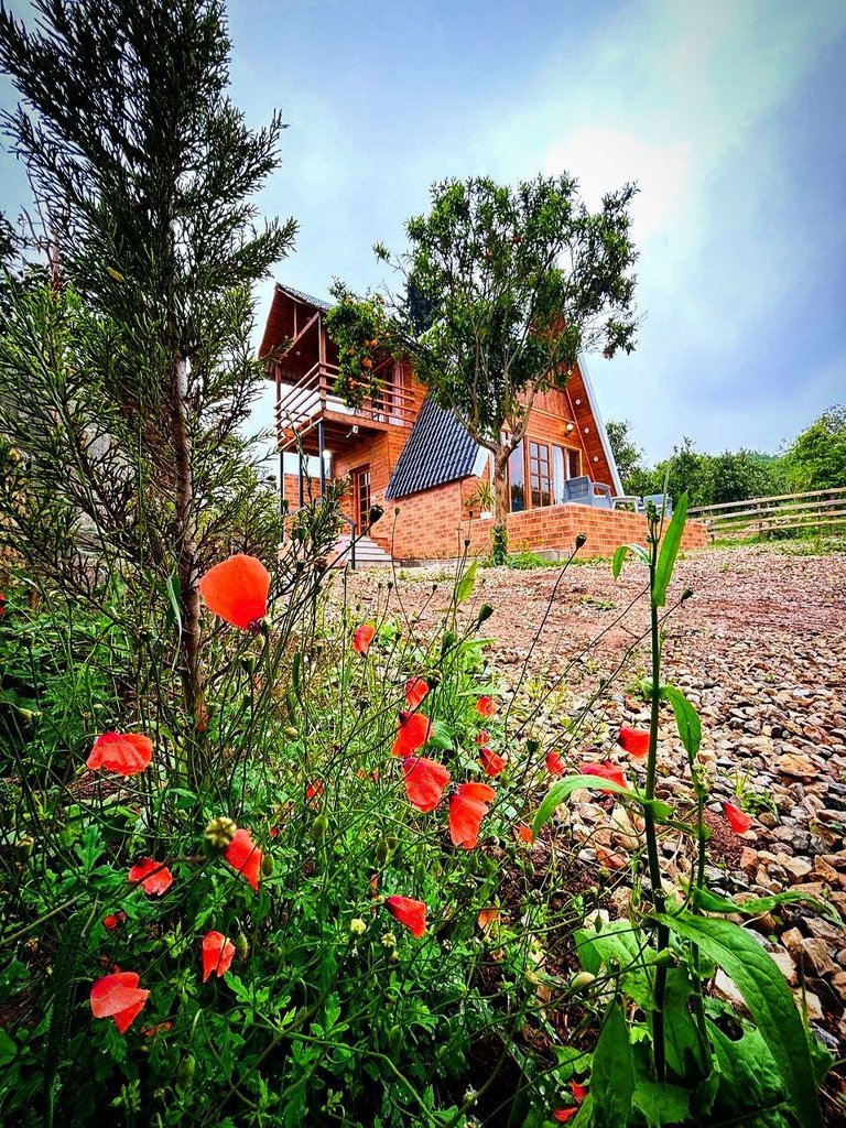 یک خوابه سوئیسی دوبلکس بامی نو