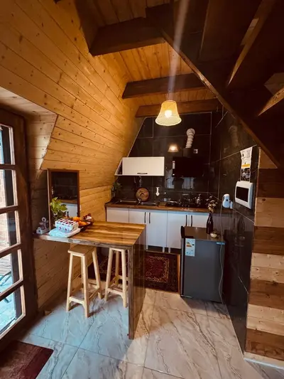 کلبه یک خوابه سوئیسی دوبلکس بامی نو