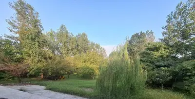 ویلا سه خوابه باغ گلستان 2