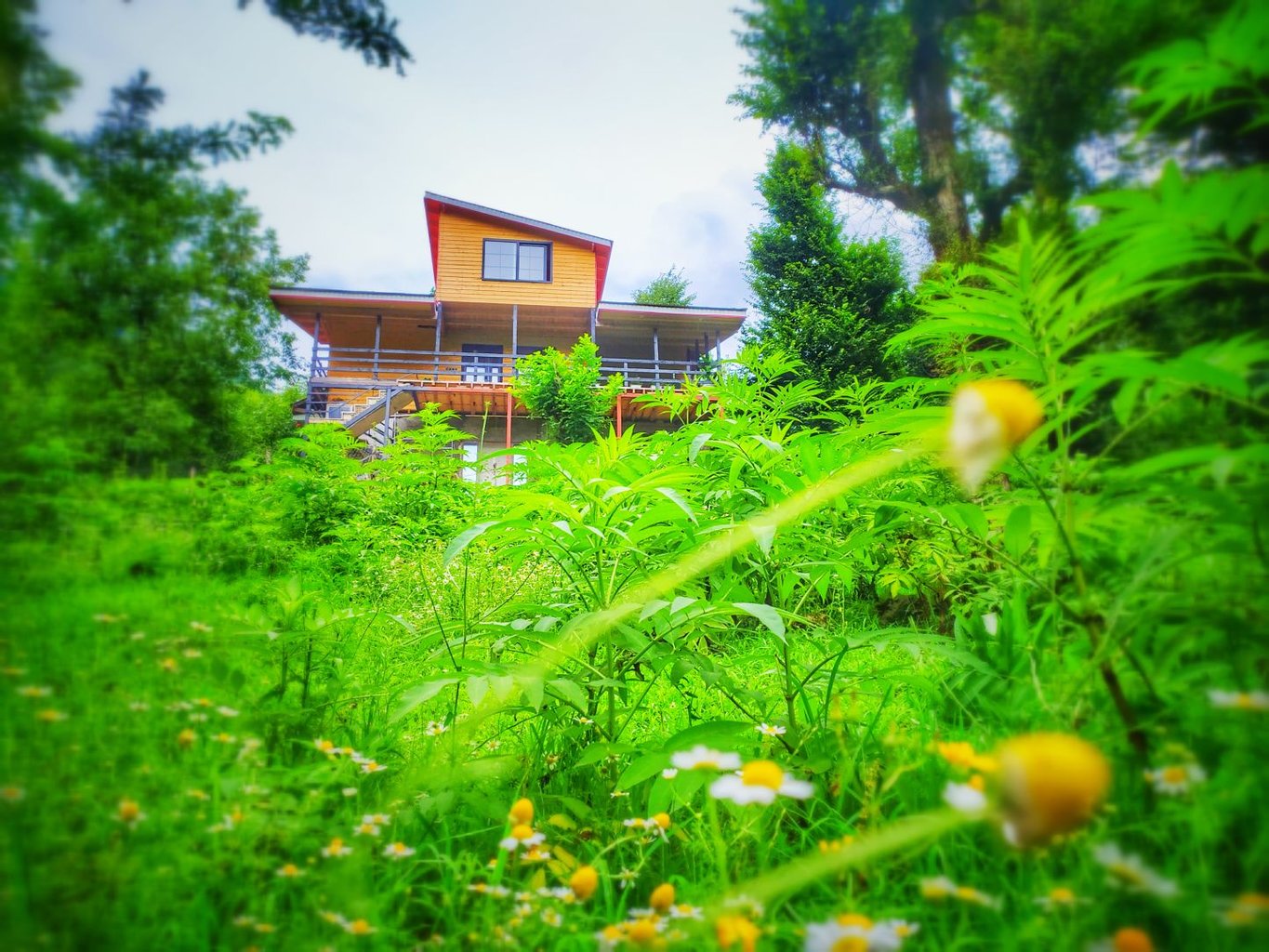 سه خوابه جنگلی سامان