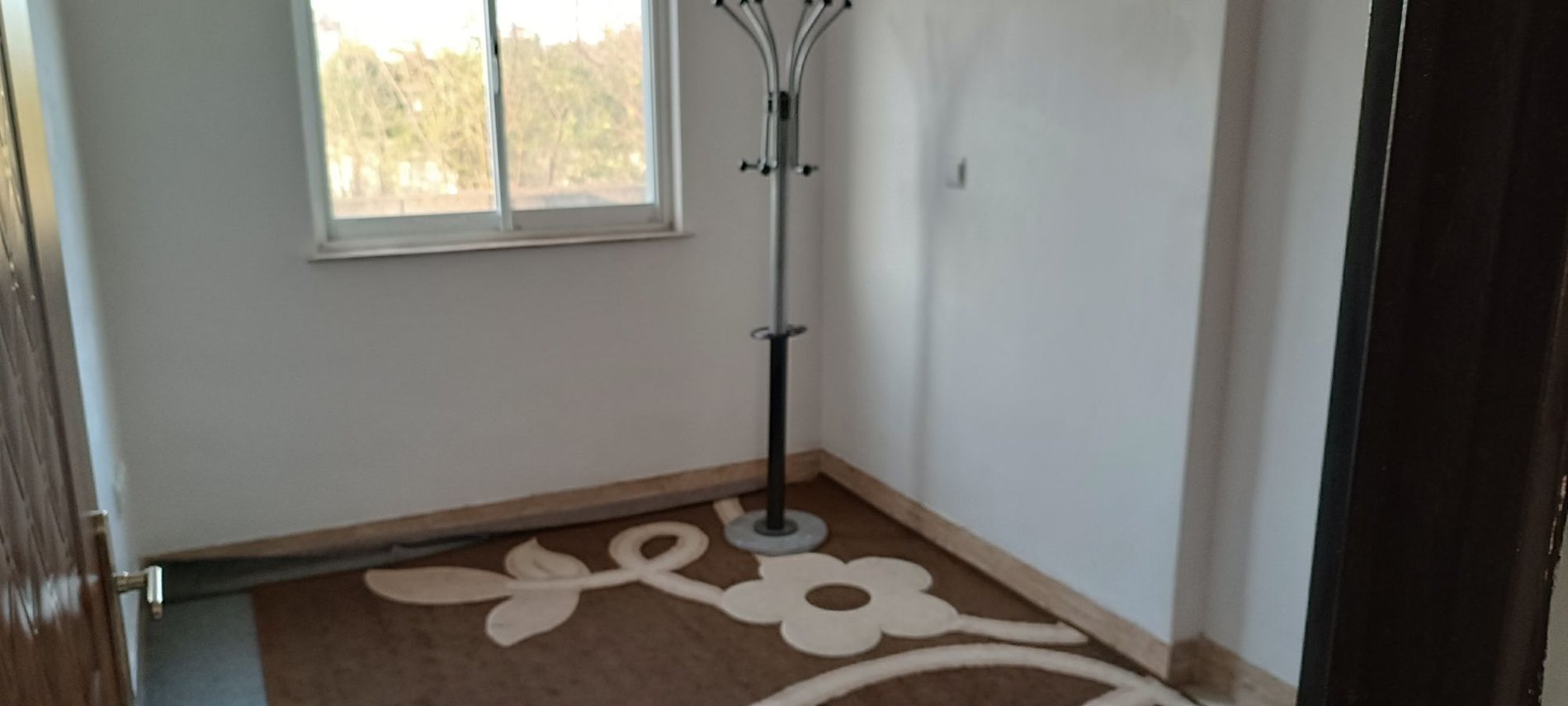 دوخوابه دانیال 1