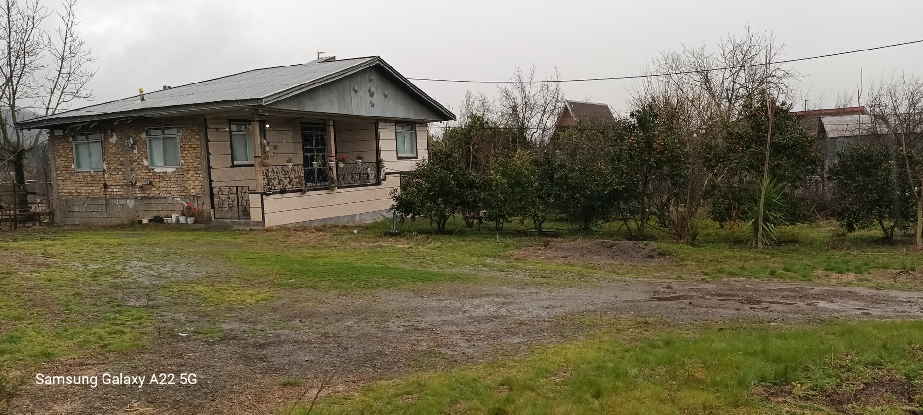 ویلا دوخوابه جنگلی معاف