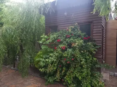 ویلا دوخوابه استخردار آبگرم شقایق 22