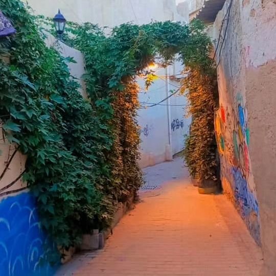 سوئیت فلت بی بی گل بانو