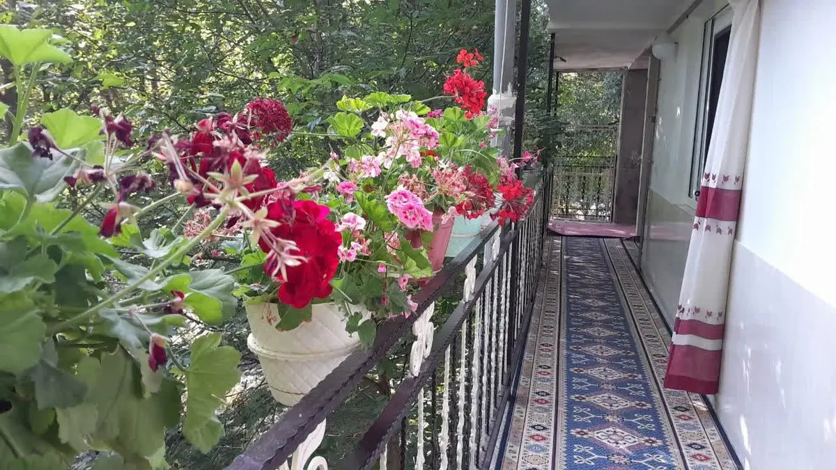 سوئیت فلت عمو نعمت