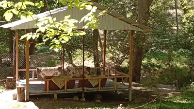 سوئیت یک خوابه باغ عمو نعمت