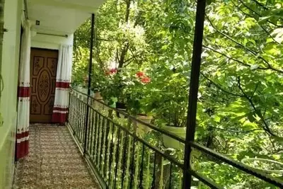 سوئیت فلت عمو نعمت 1