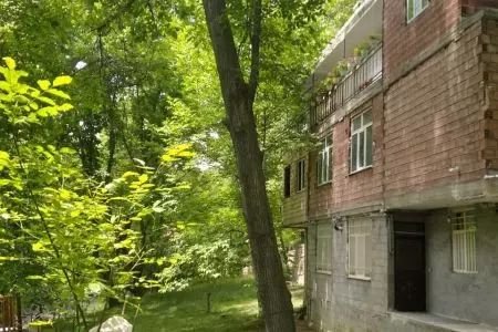 فلت عمو نعمت 1