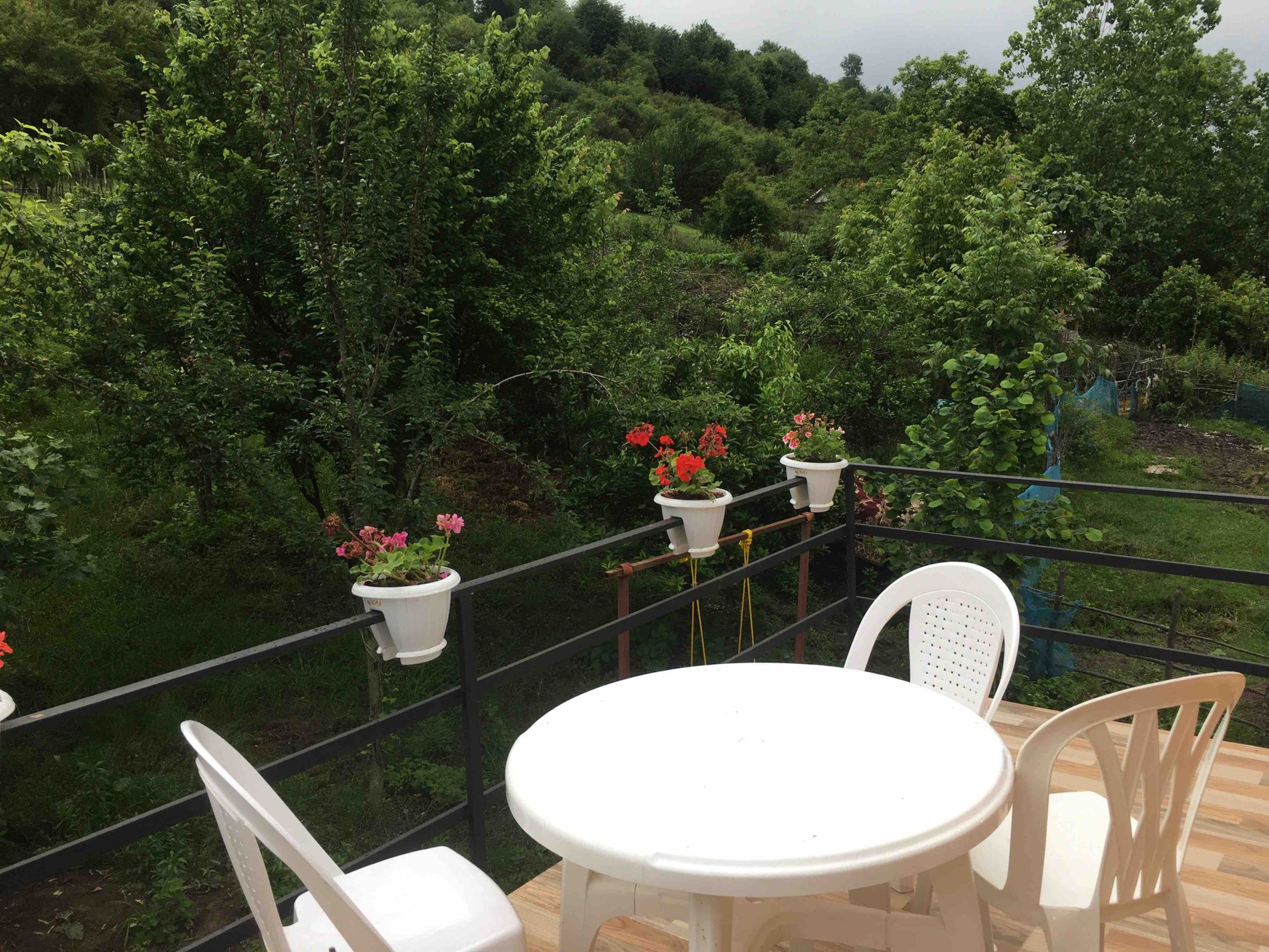 یک خوابه جنگلی سوئیسی افتخاری