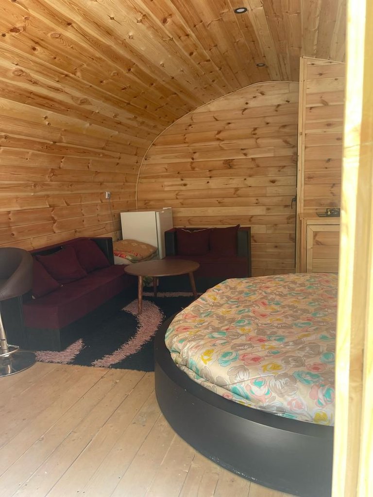 فلت مک دانلد نوران