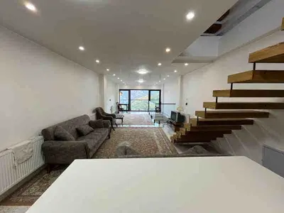 ویلا یک خوابه جنگلی تریپلکس استخردار آسمان