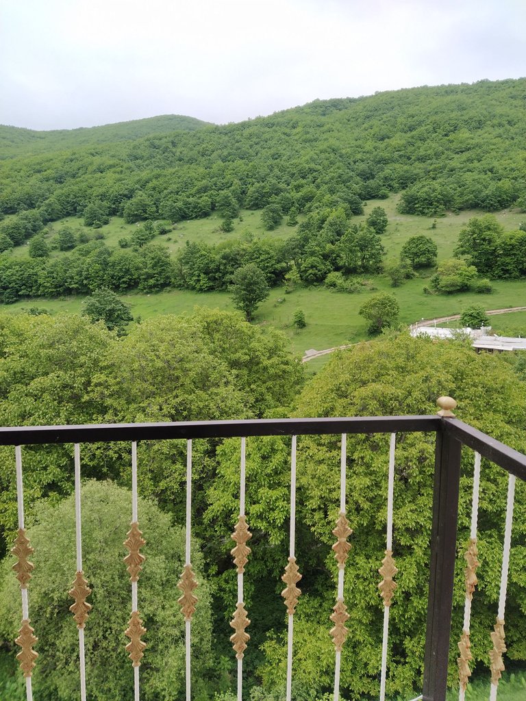 ویلا دوخوابه جنگلی سینا 1