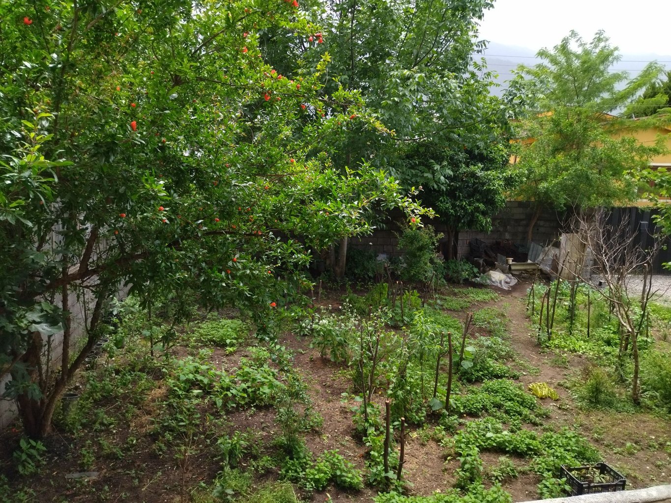 ویلا دوخوابه فرهنگ آریا