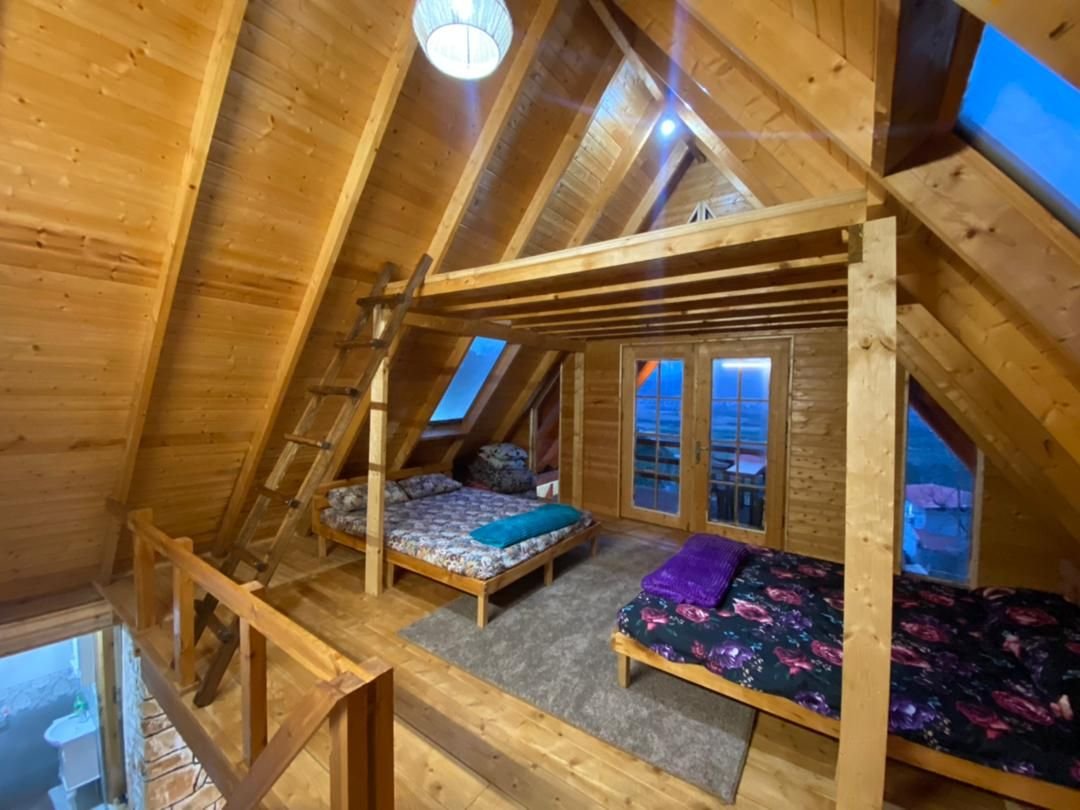 یک خوابه آمود - واحد کاج ۱