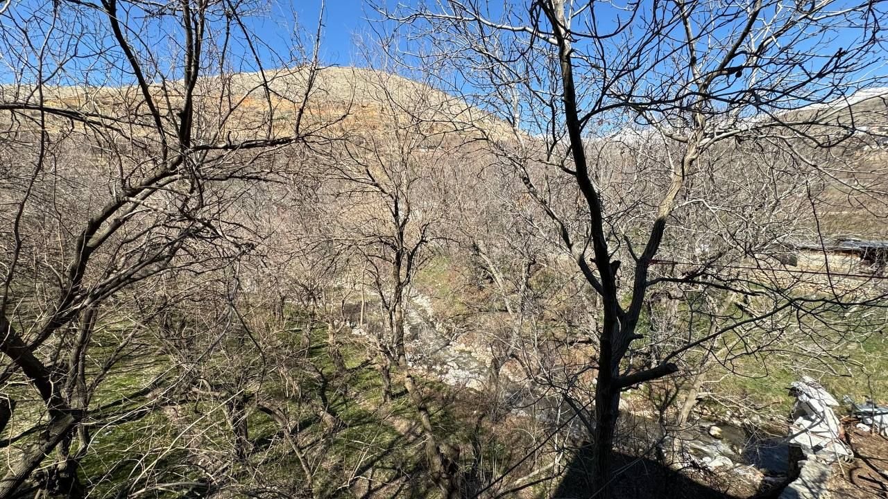 یک خوابه واران 3