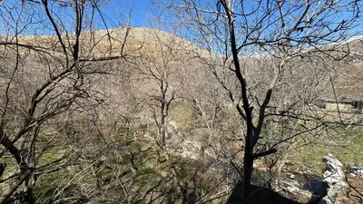 سوئیت یک خوابه واران 3