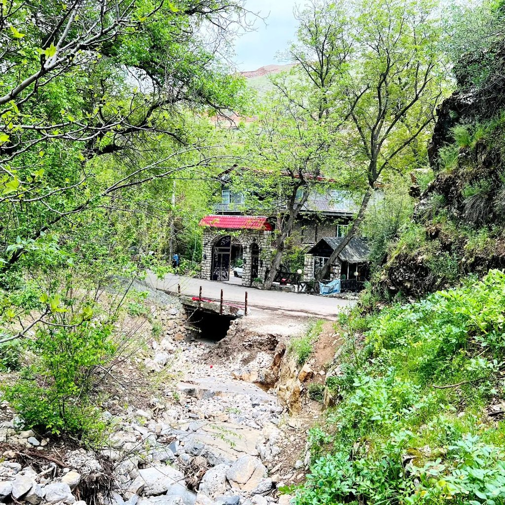 دوخوابه جنگلی واران