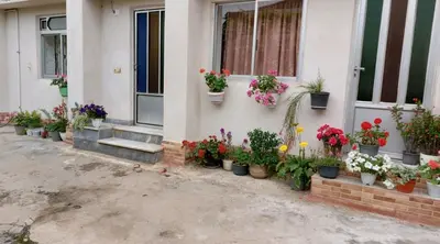 سوئیت فلت تاشک