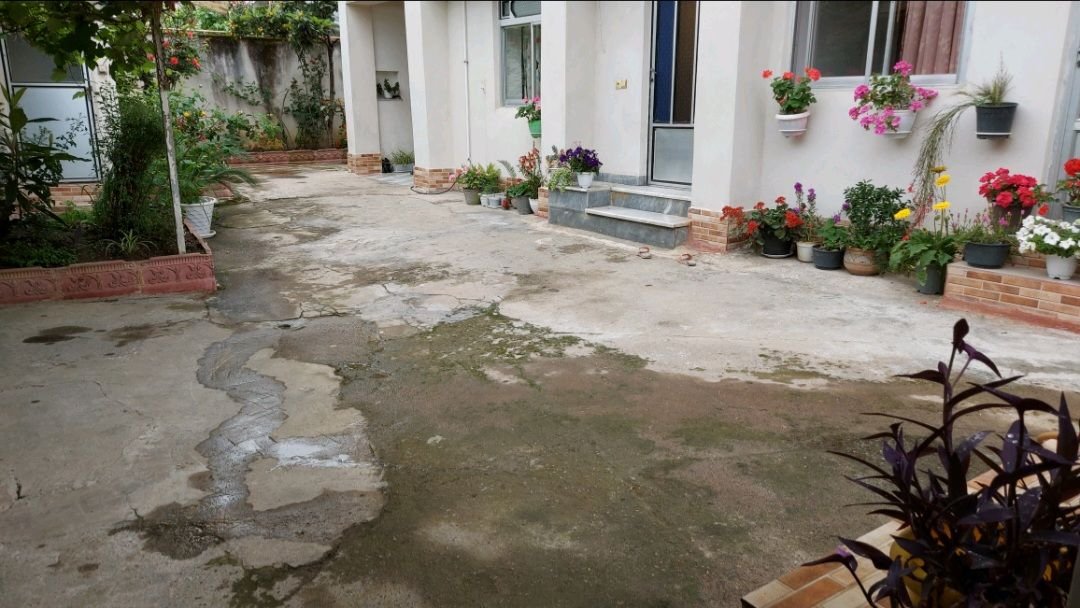 سوئیت فلت تاشک