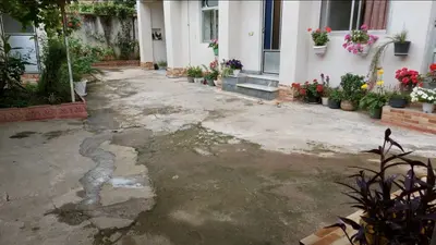 سوئیت فلت تاشک