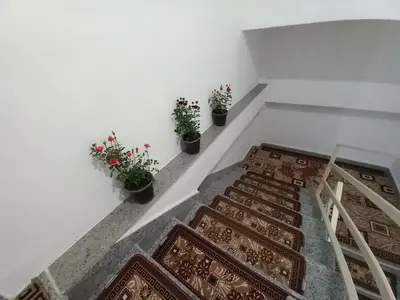 آپارتمان یک خوابه جنگلی قنبری