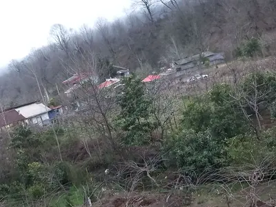 آپارتمان یک خوابه جنگلی داربار